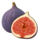Fig