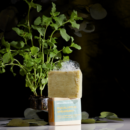 BODY WASH BAR