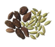 Cardamom