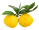 Yuzu
