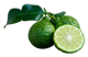 BERGAMOT