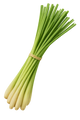 Lemongrass